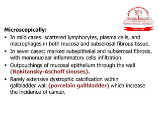 Microscopically:
 In mild cases: scattered lymphocytes, plasma cells, and
macrophages in both mucosa and subserosal fibrous tissue.
 In sever cases: marked subepithelial and subserosal fibrosis,
with mononuclear inflammatory cells infiltration.
 Outpouchings of mucosal epithelium through the wall
(Rokitansky-Aschoff sinuses).
 Rarely extensive dystrophic calcification within
gallbladder wall (porcelain gallbladder) which increase
the incidence of cancer.
 