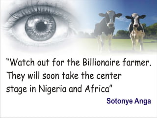 The billionaire farmer by sotonye anga