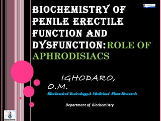 BIOCHEMISTRY OF
PENILE ERECTILE
FUNCTION AND
DYSFUNCTION:ROLE OF
APHRODISIACS
IGHODARO,
O.M.
BiochemicalToxicology&Medicinal PlantResearch
Department of Biochemistry
 