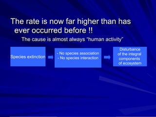 The rate is now far higher than has
ever occurred before !!
The cause is almost always “human activity”
- No species interaction
- No species association
Disturbance
of the integral
components
of ecosystem
Species extinction
 