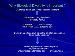 Why Biological Diversity is important
Diversitas dalam gen, species serta ekosistem
?
bahan baku yang diperlukan
sewaktu-waktu:
○ makanan
○ obat-obatan
climatic change
still secret cures
Berubah atau hilangnya satu atau sekelompok species
dalam suatu ekosistem
Berkurangnya sejumlah kesempatan
bagi alam dan manus
untuk merespon terhadap per an lingkungan
 