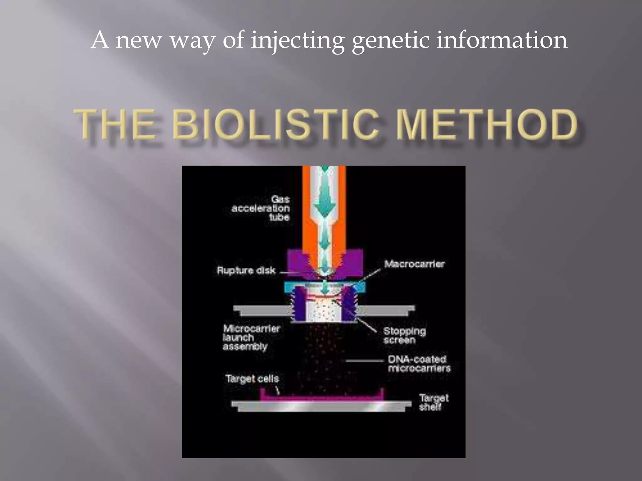 A new way of injecting genetic information
 
