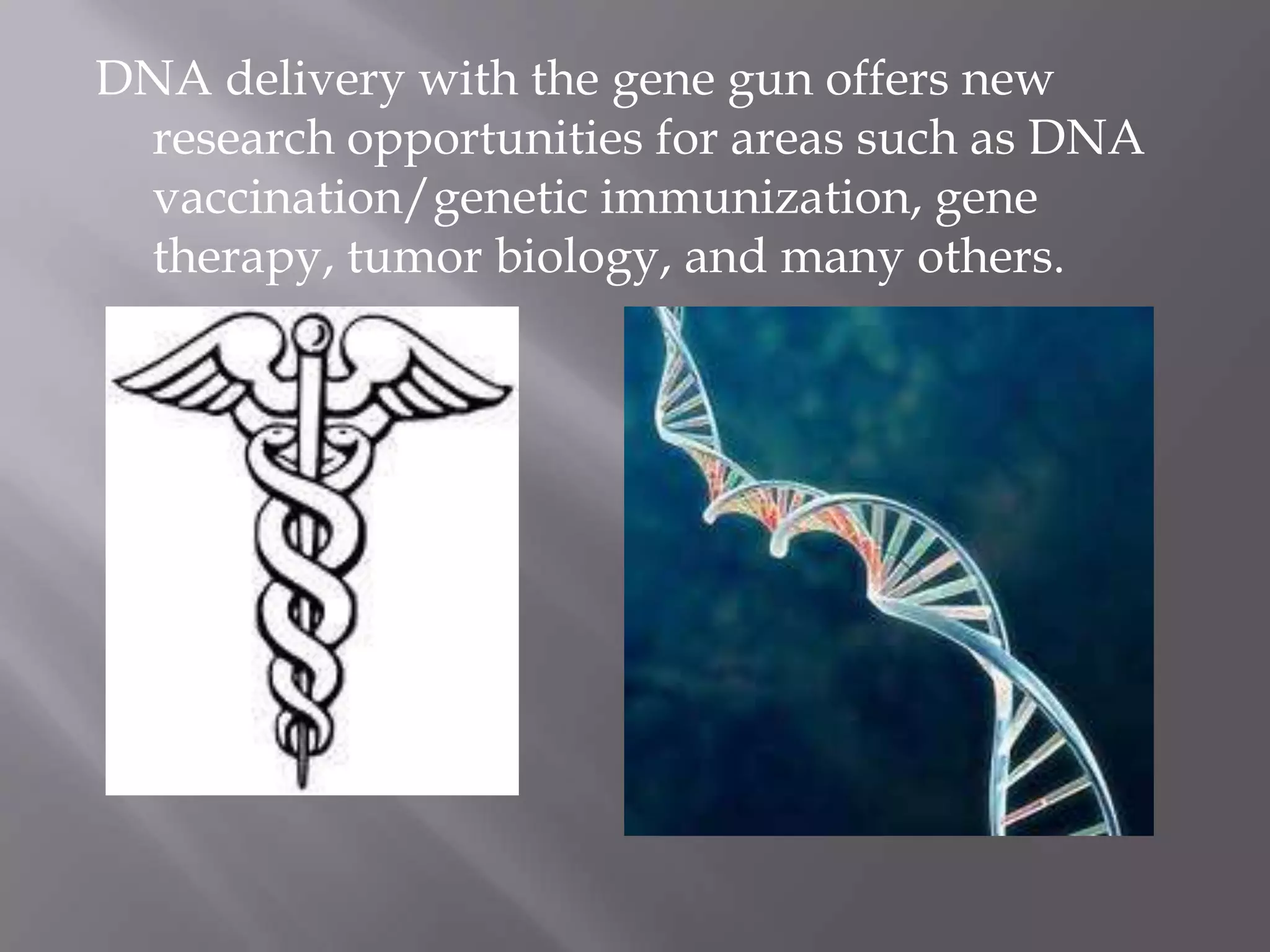 DNA delivery with the gene gun offers new
 research opportunities for areas such as DNA
 vaccination/genetic immunization, gene
 therapy, tumor biology, and many others.
 