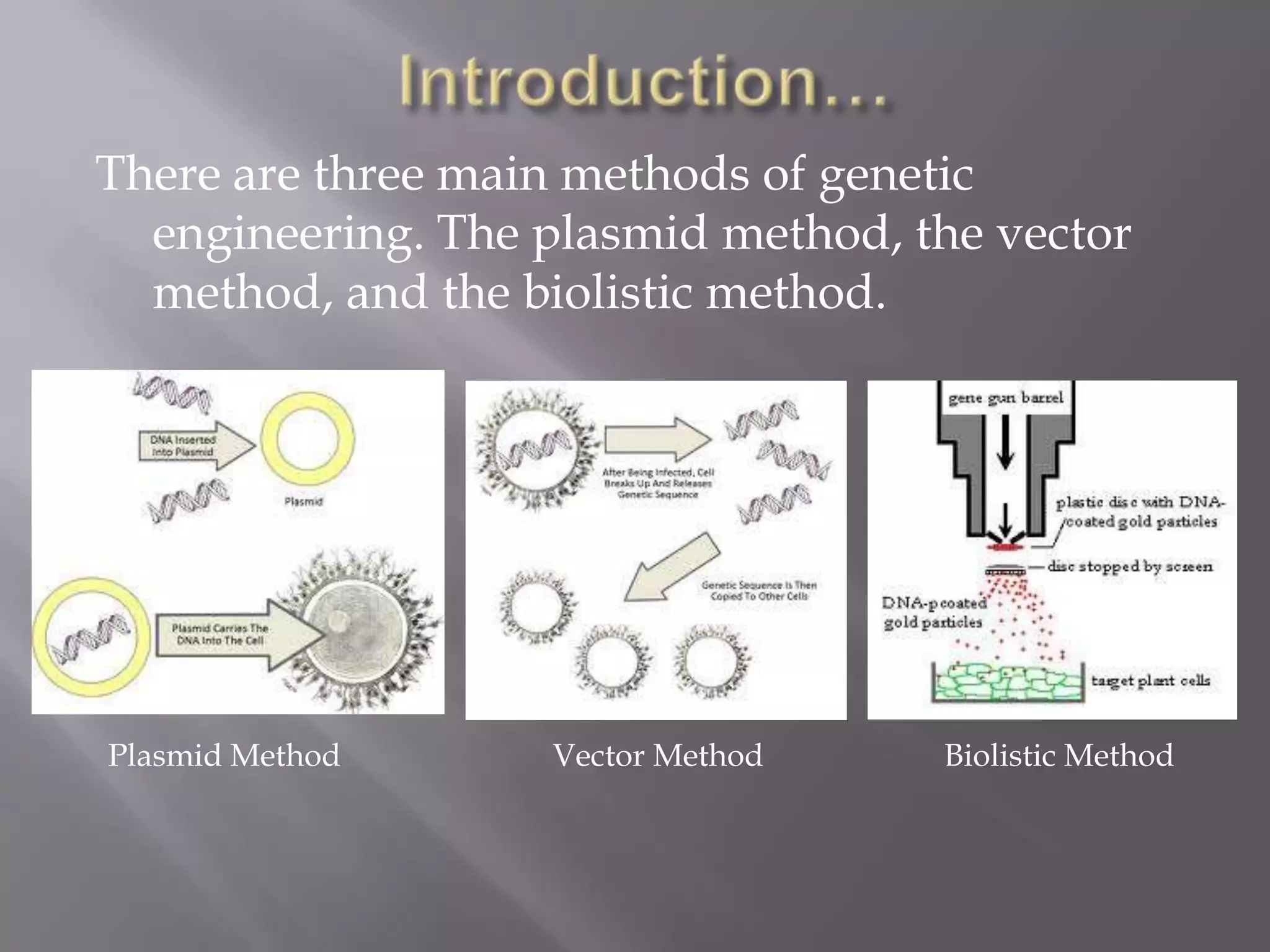 There are three main methods of genetic
  engineering. The plasmid method, the vector
  method, and the biolistic method.




Plasmid Method     Vector Method    Biolistic Method
 