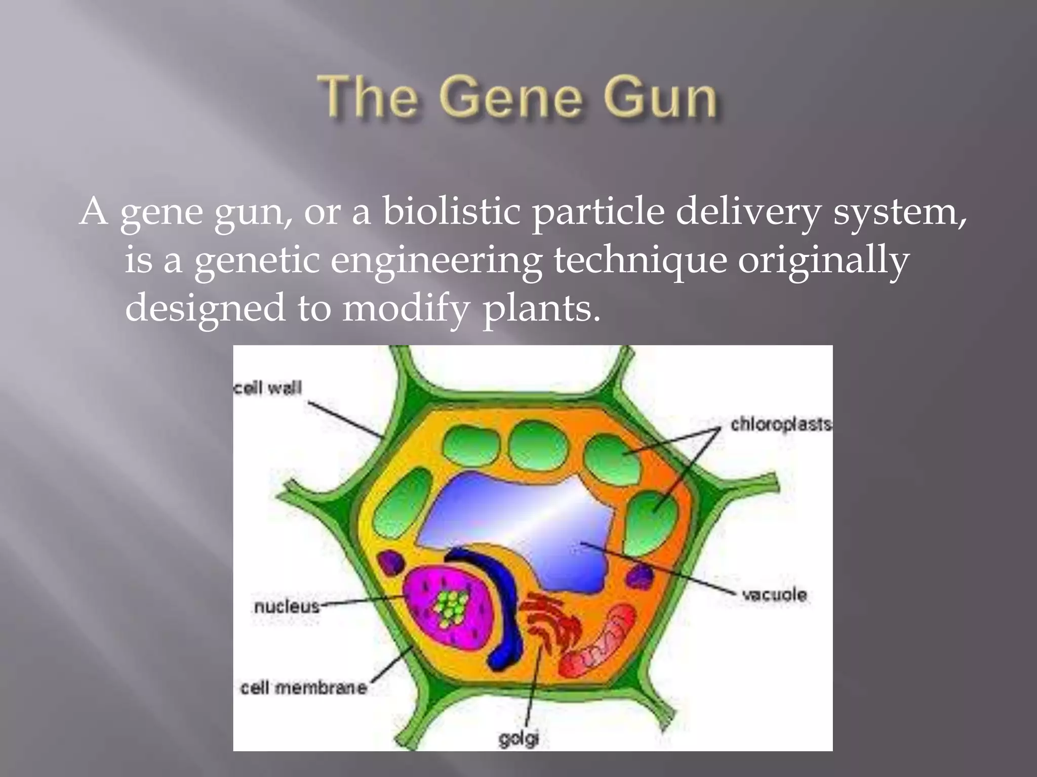 A gene gun, or a biolistic particle delivery system,
  is a genetic engineering technique originally
  designed to modify plants.
 