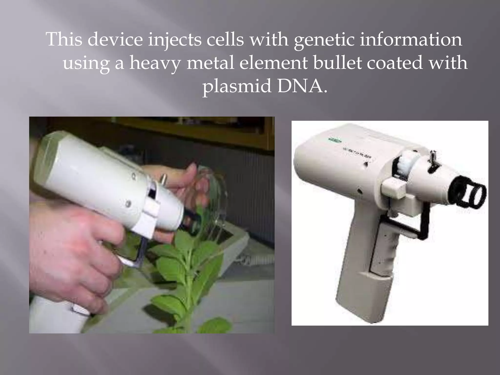This device injects cells with genetic information
 using a heavy metal element bullet coated with
                   plasmid DNA.
 