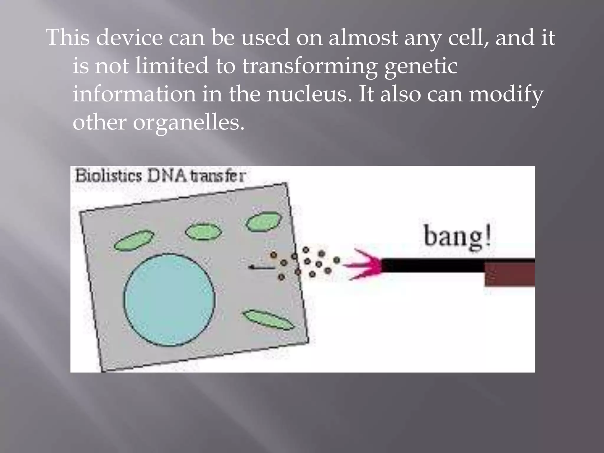 This device can be used on almost any cell, and it
  is not limited to transforming genetic
  information in the nucleus. It also can modify
  other organelles.
 