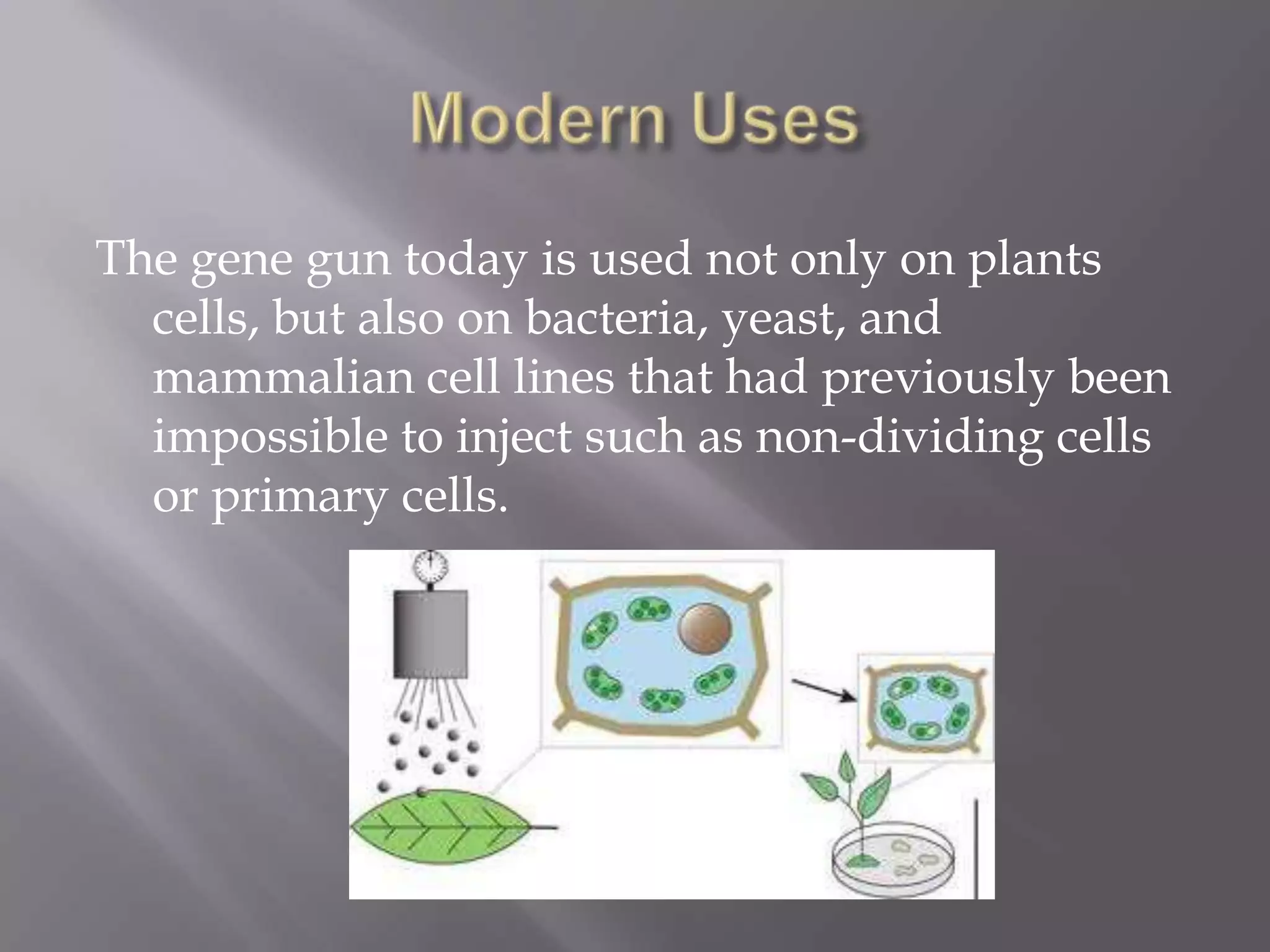 The gene gun today is used not only on plants
  cells, but also on bacteria, yeast, and
  mammalian cell lines that had previously been
  impossible to inject such as non-dividing cells
  or primary cells.
 