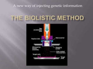 A new way of injecting genetic information
 
