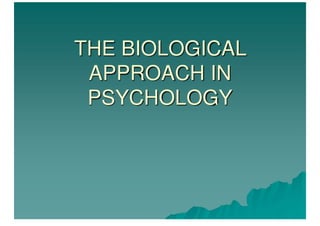 THE BIOLOGICAL APPROACH IN PSYCHOLOGY