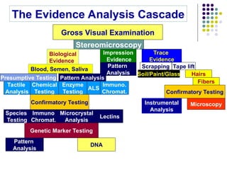 Comprehensive Forensic Biology: Identification and Analysis of ...