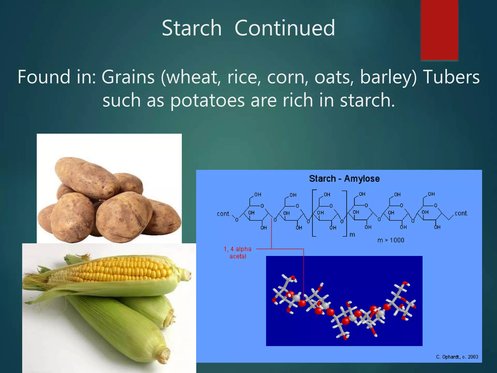 Starch Continued
Found in: Grains (wheat, rice, corn, oats, barley) Tubers
such as potatoes are rich in starch.
 