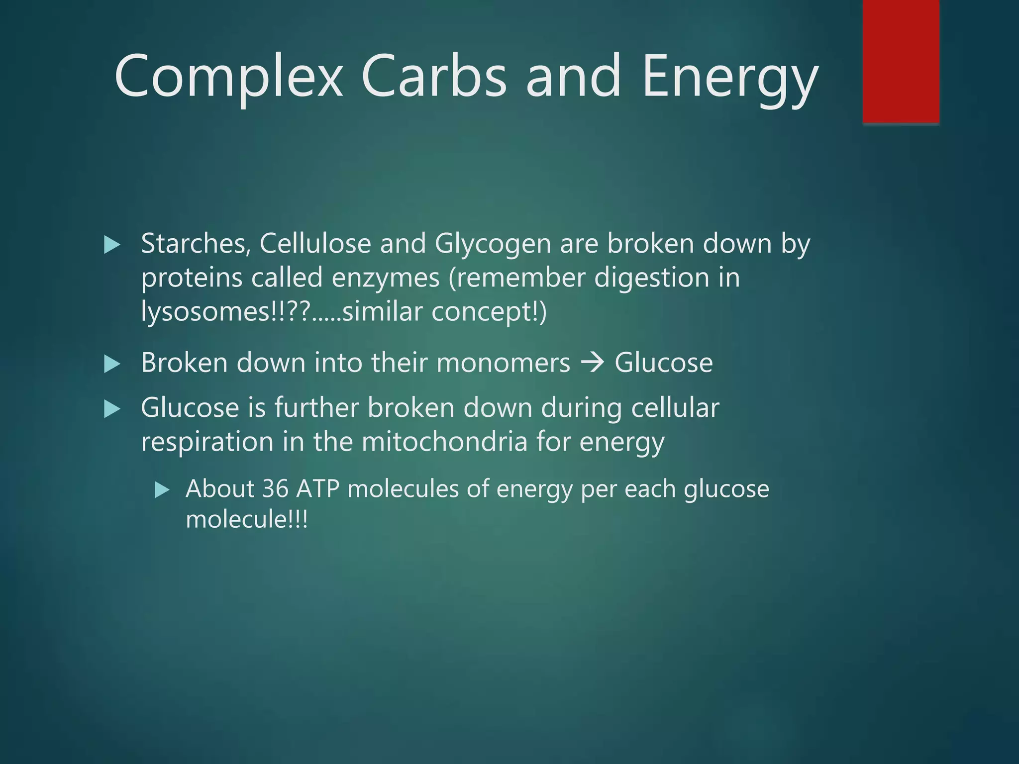 Complex Carbs and Energy
 Starches, Cellulose and Glycogen are broken down by
proteins called enzymes (remember digestion in
lysosomes!!??.....similar concept!)
 Broken down into their monomers  Glucose
 Glucose is further broken down during cellular
respiration in the mitochondria for energy
 About 36 ATP molecules of energy per each glucose
molecule!!!
 
