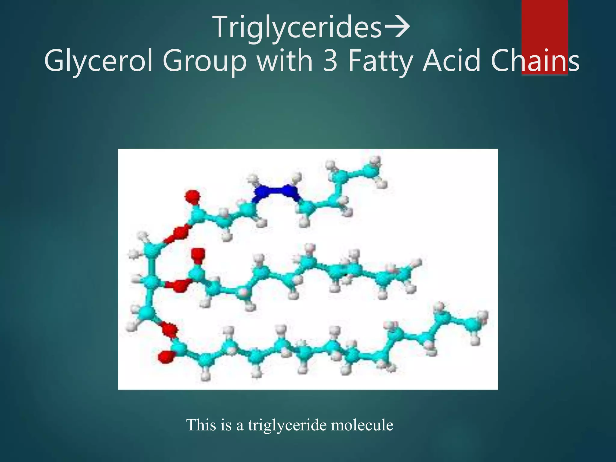 Triglycerides
Glycerol Group with 3 Fatty Acid Chains
This is a triglyceride molecule
 