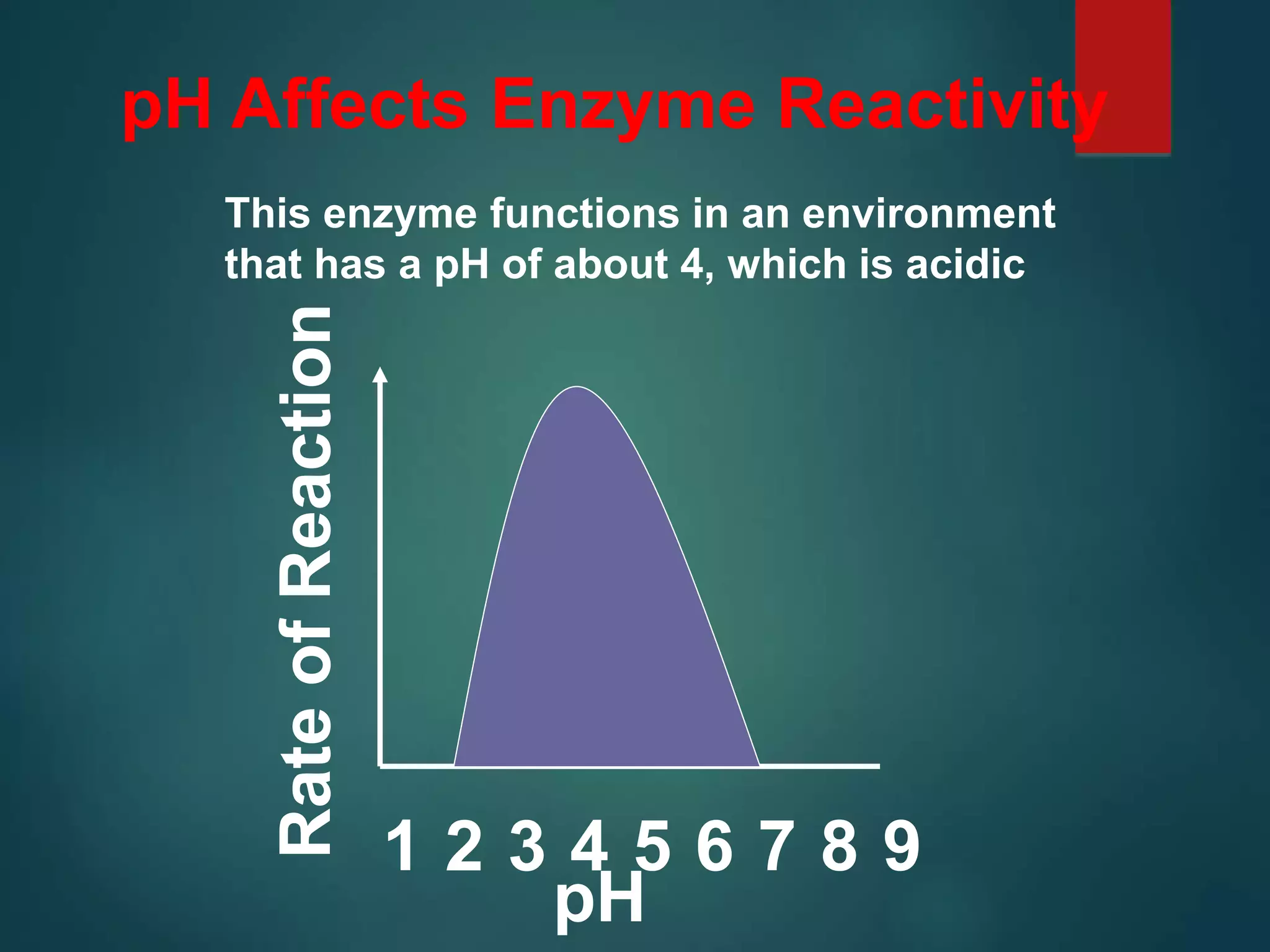 Rate
of
Reaction
pH Affects Enzyme Reactivity
1 3 4
2 5 6 7 8 9
pH
This enzyme functions in an environment
that has a pH of about 4, which is acidic
 