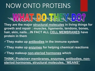 NOW ONTO PROTEINS
They are the major structural molecules in living things for
growth and repair : muscles, ligaments, tendons, bones,
hair, skin, nails…IN FACT ALL CELL MEMBRANES have
protein in them
They make up antibodies in the immune system
They make up enzymes for helping chemical reactions
They makeup non-steriod hormones which
THINK: Proteins= membranes, enzymes, antibodies, non-
steriod hormones, structural molecules, “MEANS”
 