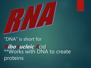 “DNA” is short for
Ribonucleic Acid
**Works with DNA to create
proteins
 