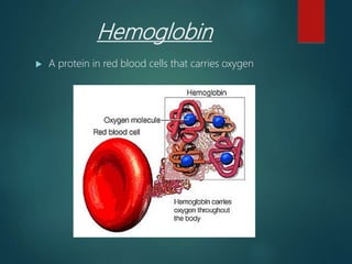 Hemoglobin
 A protein in red blood cells that carries oxygen
 