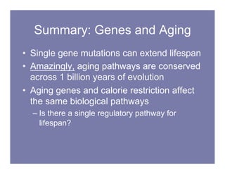 THE BIOLOGY OF AGING cohen_bonkowski_0410.pdf