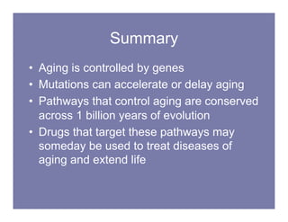 THE BIOLOGY OF AGING cohen_bonkowski_0410.pdf