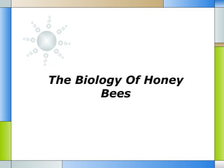 The Biology Of Honey Bees 