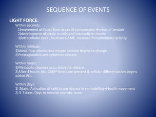 SEQUENCE OF EVENTS
LIGHT FORCE:
Within seconds:
1)movement of fluids from areas of compressionareas of tension
2)developm...