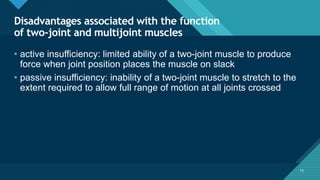 The Biomechanics of Human Skeletal Muscle-B.pptx