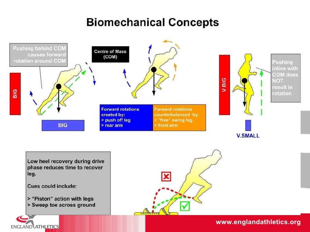 The Biomechanics of Sprinting