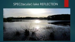 SPEC(tacular) lake REFLECTION
 