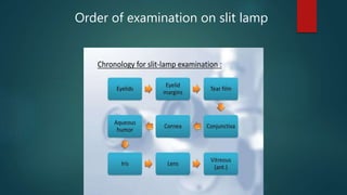Order of examination on slit lamp
 