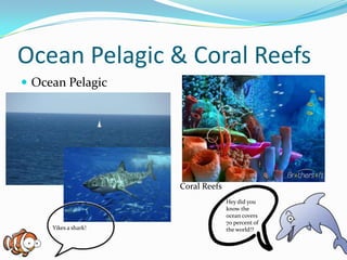 Ocean Pelagic & Coral ReefsOcean Pelagic Coral ReefsHey did you know the ocean covers 70 percent of the world!?Yikes a shark!
