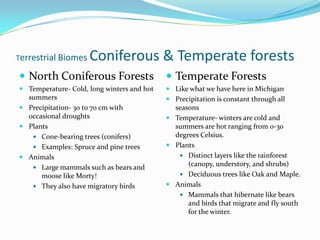 Terrestrial Biomes Coniferous & Temperate forestsNorth Coniferous ForestsTemperature- Cold, long winters and hot summersPrecipitation- 30 to 70 cm with occasional droughtsPlantsCone-bearing trees (conifers) Examples: Spruce and pine treesAnimalsLarge mammals such as bears and moose like Morty!They also have migratory birdsTemperate ForestsLike what we have here in MichiganPrecipitation is constant through all seasonsTemperature- winters are cold and summers are hot ranging from 0-30 degrees Celsius. PlantsDistinct layers like the rainforest (canopy, understory, and shrubs)Deciduous trees like Oak and Maple.AnimalsMammals that hibernate like bears and birds that migrate and fly south for the winter.