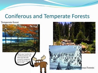 Coniferous and Temperate ForestsTemperate forestMarty says: I prefer the coniferous forests, but when the fall rolls around in temperate forests those trees are bea-u-t-ful.Coniferous Forests