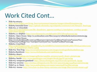 Work Cited Cont…Slide #9-estuary- http://www.iwight.com/living_here/environment/estuaries/images/5IslandEstuaries01.jpgSlide#9-Intertidal Zone- http://upload.wikimedia.org/wikipedia/commons/e/e6/Newport_beach.jpgSlide #10, 11- Clownfish- http://www.istockphoto.com/file_thumbview_approve/10068351/2/istockphoto_10068351-googly-eyed-clown-fish.jpgSlide#10, 11- dolphin- http://www.fotosearch.com/bthumb/CSP/CSP105/k1051597.jpgSlide#11- Open Ocean- http://c1.ecolocalizer.com/files/2009/07/whitesharkcreativecommons.jpgSlide #11-Open Ocean- http://www.davidstauffer.com/caribbean2007/pictures/Caribbean%20Cruise%202007%20-%20Disney%20Magic%20-%20Open%20Ocean%20-%20Sail%20Boat%2001.jpgSlide#12- Coral Reef- http://4.bp.blogspot.com/_zGrseSbwSE4/S7v6Z6MDFzI/AAAAAAAAAI8/4MdvTW0Ic4o/s1600/coral_reef_3d_screensavers-185850-3.jpegSlide #13- Tree Frog- http://www.balloonmaniacs.com/images/treefrogredheliumballoon.jpgSlide#13-Rainforest- http://www.svbchemicals.com/rainforest1.jpgSlide#14- desert- http://www.bugbog.com/images/galleries/namibia_pictures/namib_desert_pictures.jpgSlide#14- beetle- http://www.speedysigns.com/images/decals/jpg/H/345/19.jpgSlide #15- temperate grassland- http://library.thinkquest.org/CR0210360/grasslands_lrg.jpgSlide #15- savanna- http://room42.wikispaces.com/file/view/4savanna.jpg/34448245/4savanna.jpgSlide# 14, 15- bison-  http://www.andreadams.com/assets/watermark%20files/yak.jpgSlide #17- moose- http://www.how-to-draw-funny-cartoons.com/image-files/cartoon-moose-9.gif
