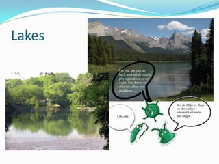 LakesOh yea, we can lay back and eat as much phytoplankton as we want. You know we also eat other zoo plankton. ..Boy do I like to  float on the surface where it’s all warm and bright.Uh -oh