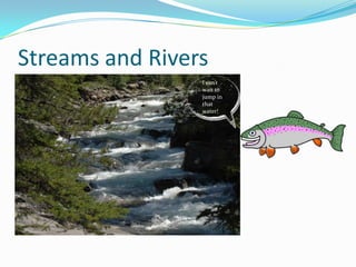 Streams and RiversI can’t wait to jump in that water!