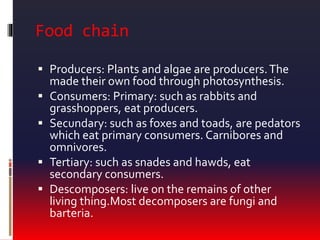 Food chain
 Producers: Plants and algae are producers.The
made their own food through photosynthesis.
 Consumers: Primary: such as rabbits and
grasshoppers, eat producers.
 Secundary: such as foxes and toads, are pedators
which eat primary consumers. Carnibores and
omnivores.
 Tertiary: such as snades and hawds, eat
secondary consumers.
 Descomposers: live on the remains of other
living thing.Most decomposers are fungi and
barteria.
 