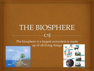 The biosphere si a largest ecosystem is made
up of all living things
 