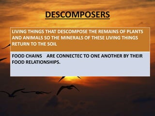 DESCOMPOSERS
LIVING THINGS THAT DESCOMPOSE THE REMAINS OF PLANTS
AND ANIMALS SO THE MINERALS OF THESE LIVING THINGS
RETURN TO THE SOIL
FOOD CHAINS ARE CONNECTEC TO ONE ANOTHER BY THEIR
FOOD RELATIONSHIPS.
 