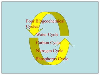 Four Biogeochemical
Cycles:
Water Cycle
Carbon Cycle
Nitrogen Cycle
Phosphorus Cycle
 