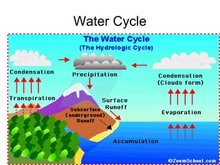 Water Cycle
 