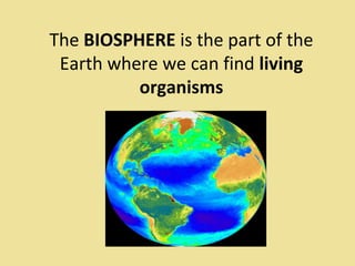 The BIOSPHERE is the part of the
Earth where we can find living
organisms
 