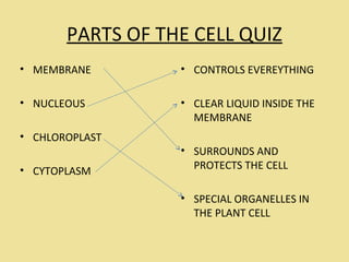 PARTS OF THE CELL QUIZ
• MEMBRANE
• NUCLEOUS
• CHLOROPLAST
• CYTOPLASM
• CONTROLS EVEREYTHING
• CLEAR LIQUID INSIDE THE
MEMBRANE
• SURROUNDS AND
PROTECTS THE CELL
• SPECIAL ORGANELLES IN
THE PLANT CELL
 
