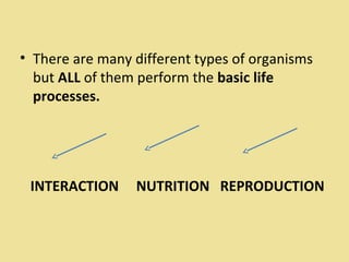 • There are many different types of organisms
but ALL of them perform the basic life
processes.
INTERACTION NUTRITION REPRODUCTION
 