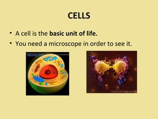 CELLS
• A cell is the basic unit of life.
• You need a microscope in order to see it.
 