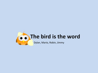 The bird is the word Dylan, Mario, Robin, Jimmy 