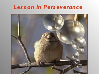 Lesson In Perseverance   