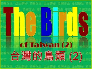 TheBirds of Taiwan (2)  台灣的鳥類 (2) 