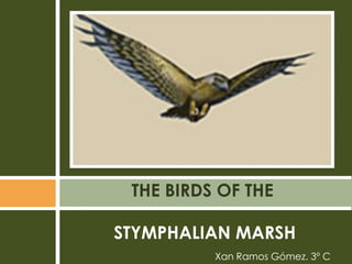 THE BIRDS OF THE STYMPHALIAN MARSHXanRamos Gómez. 3º C 