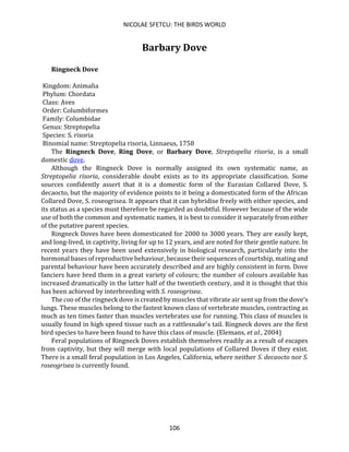 NICOLAE SFETCU: THE BIRDS WORLD
106
Barbary Dove
Ringneck Dove
Kingdom: Animalia
Phylum: Chordata
Class: Aves
Order: Columbiformes
Family: Columbidae
Genus: Streptopelia
Species: S. risoria
Binomial name: Streptopelia risoria, Linnaeus, 1758
The Ringneck Dove, Ring Dove, or Barbary Dove, Streptopelia risoria, is a small
domestic dove.
Although the Ringneck Dove is normally assigned its own systematic name, as
Streptopelia risoria, considerable doubt exists as to its appropriate classification. Some
sources confidently assert that it is a domestic form of the Eurasian Collared Dove, S.
decaocto, but the majority of evidence points to it being a domesticated form of the African
Collared Dove, S. roseogrisea. It appears that it can hybridise freely with either species, and
its status as a species must therefore be regarded as doubtful. However because of the wide
use of both the common and systematic names, it is best to consider it separately from either
of the putative parent species.
Ringneck Doves have been domesticated for 2000 to 3000 years. They are easily kept,
and long-lived, in captivity, living for up to 12 years, and are noted for their gentle nature. In
recent years they have been used extensively in biological research, particularly into the
hormonal bases of reproductive behaviour, because their sequences of courtship, mating and
parental behaviour have been accurately described and are highly consistent in form. Dove
fanciers have bred them in a great variety of colours; the number of colours available has
increased dramatically in the latter half of the twentieth century, and it is thought that this
has been achieved by interbreeding with S. roseogrisea.
The coo of the ringneck dove is created by muscles that vibrate air sent up from the dove's
lungs. These muscles belong to the fastest known class of vertebrate muscles, contracting as
much as ten times faster than muscles vertebrates use for running. This class of muscles is
usually found in high speed tissue such as a rattlesnake's tail. Ringneck doves are the first
bird species to have been found to have this class of muscle. (Elemans, et al., 2004)
Feral populations of Ringneck Doves establish themselves readily as a result of escapes
from captivity, but they will merge with local populations of Collared Doves if they exist.
There is a small feral population in Los Angeles, California, where neither S. decaocto nor S.
roseogrisea is currently found.
 